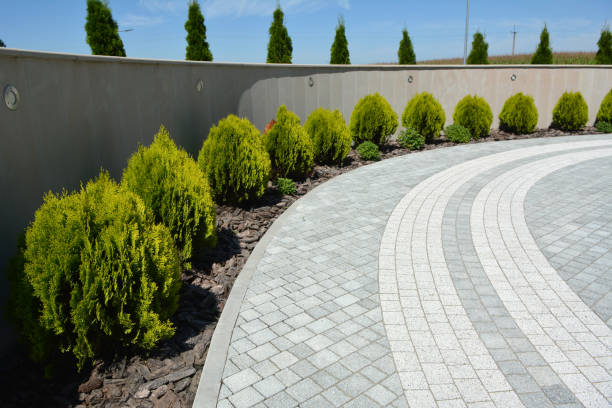 Best Professional Driveway Pavers  in Avenal, CA